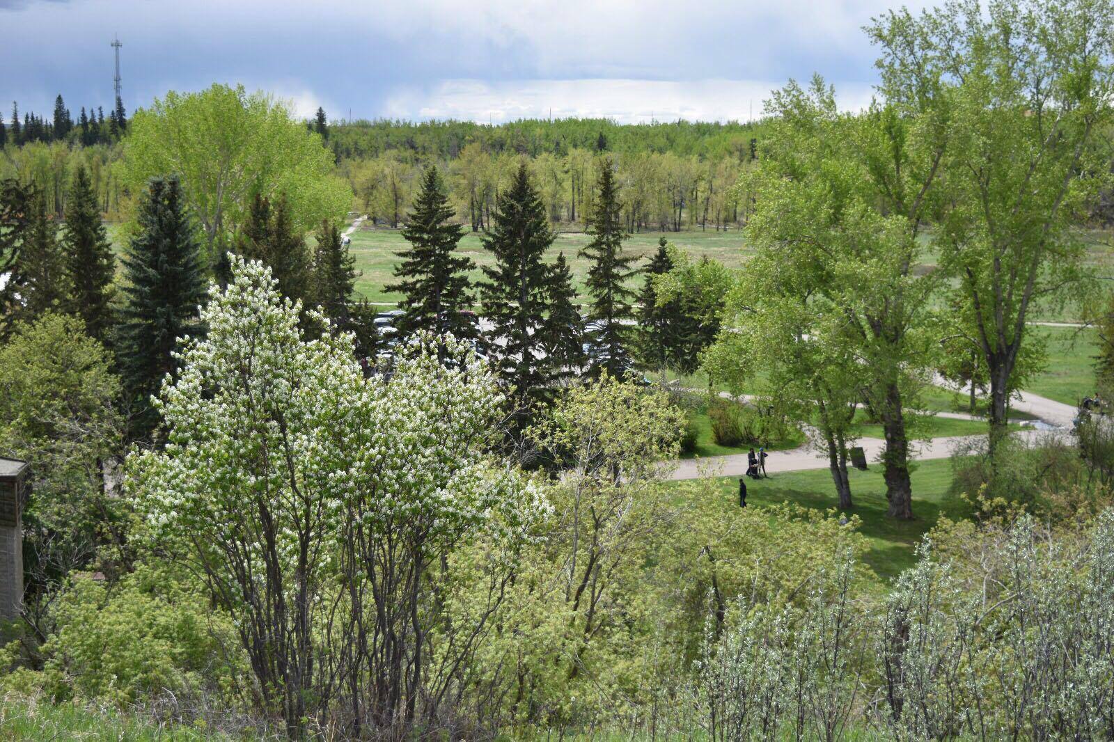 Fish Creek Provincial Park em Calgary